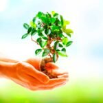 arbol-mano