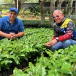 plantas.jpg