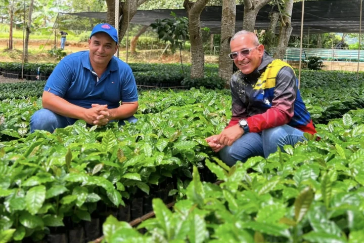 plantas.jpg